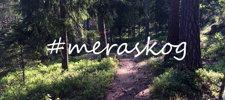 Vilket är ditt favorit ställe i skogen? featured image