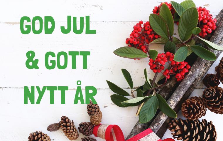 God jul och gott nytt år 2019 featured image