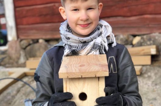 Pojke med en färdig fågelholk i handen