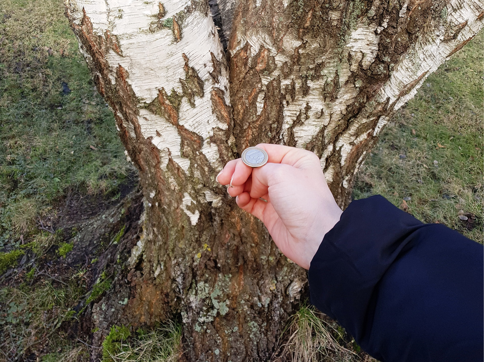 En hand med en slant på