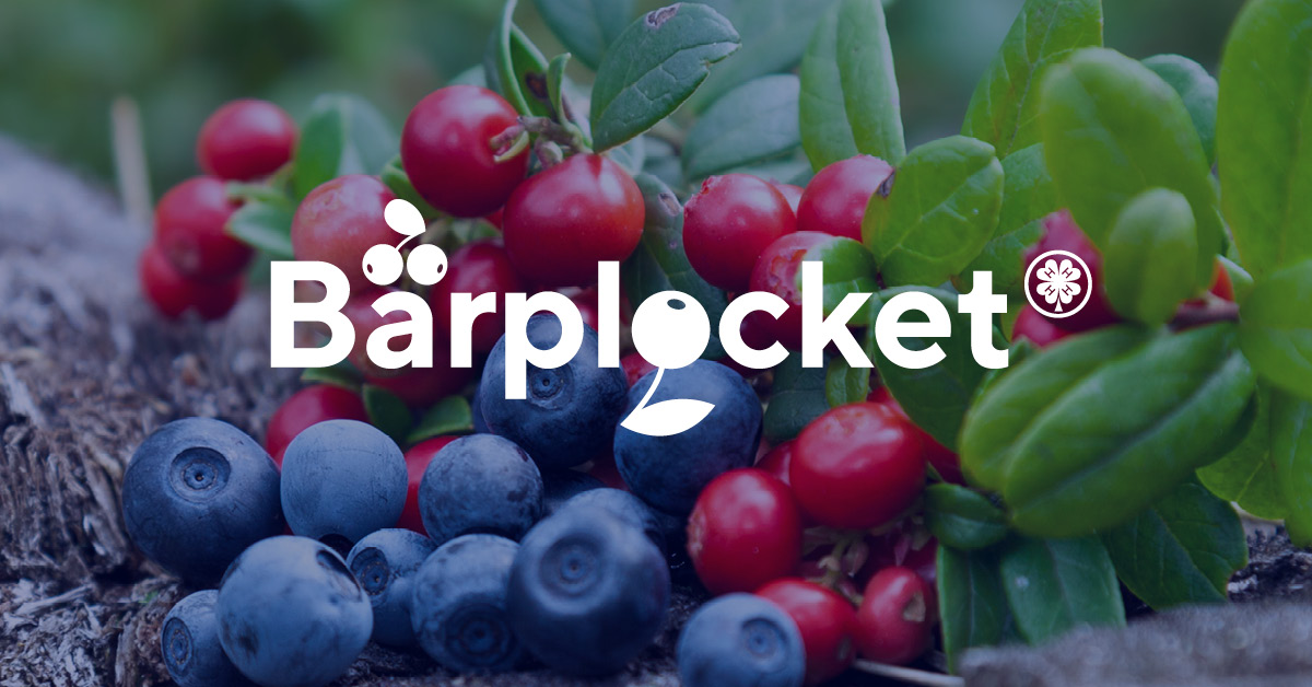 Bärplocket verksamheten startar i höst featured image