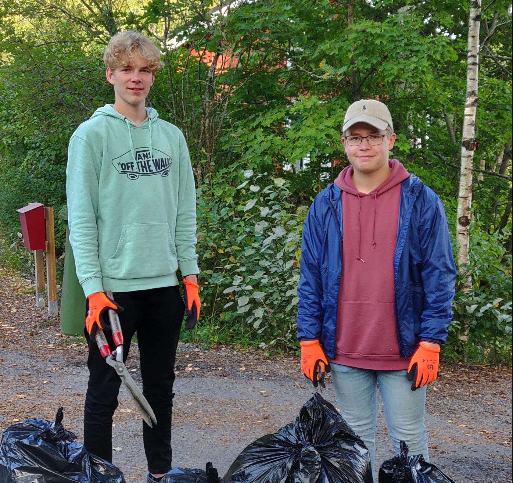 4H-unga med i kampen mot vilda palsternackan i Pargas featured image
