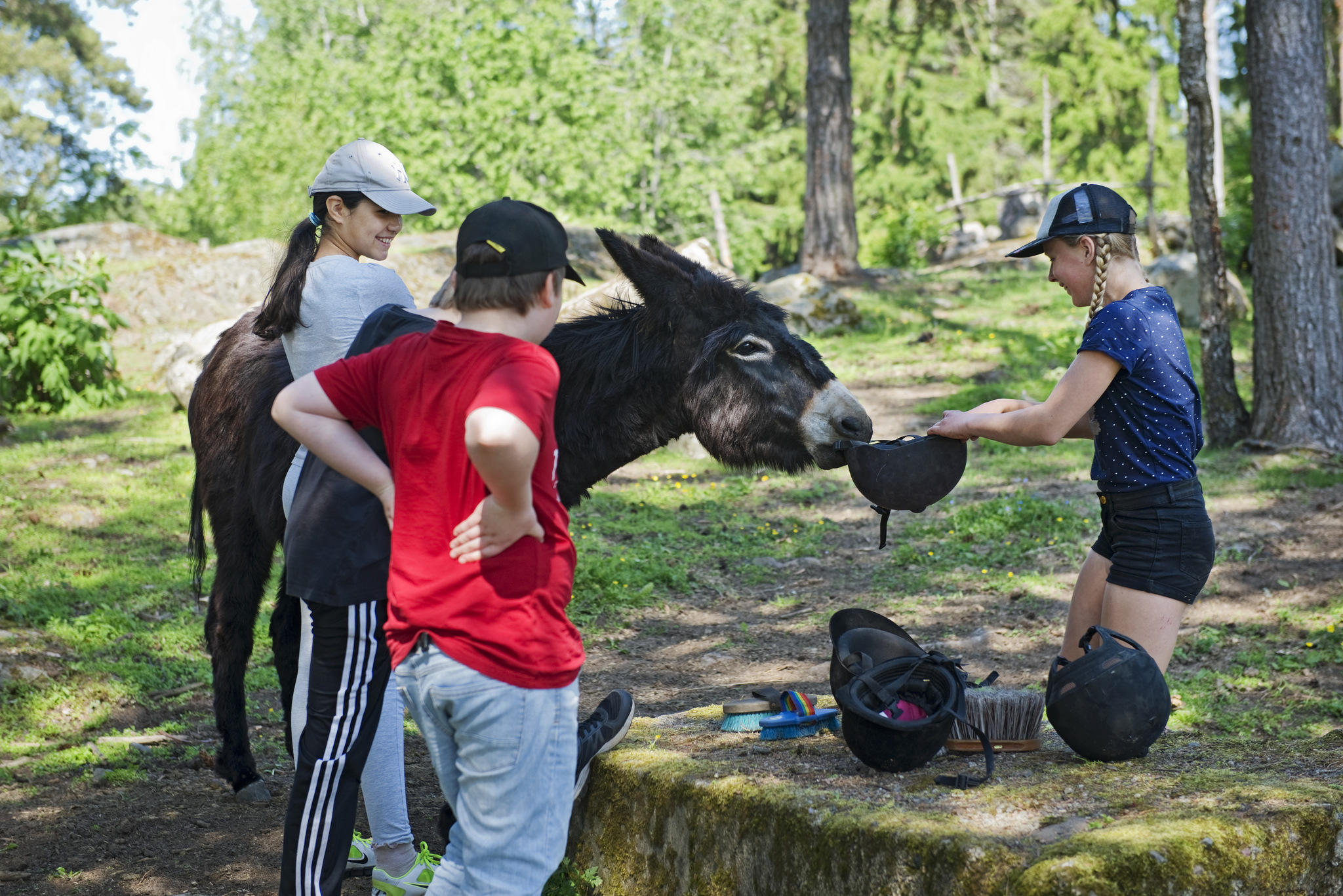 Lägersommar med 4H featured image