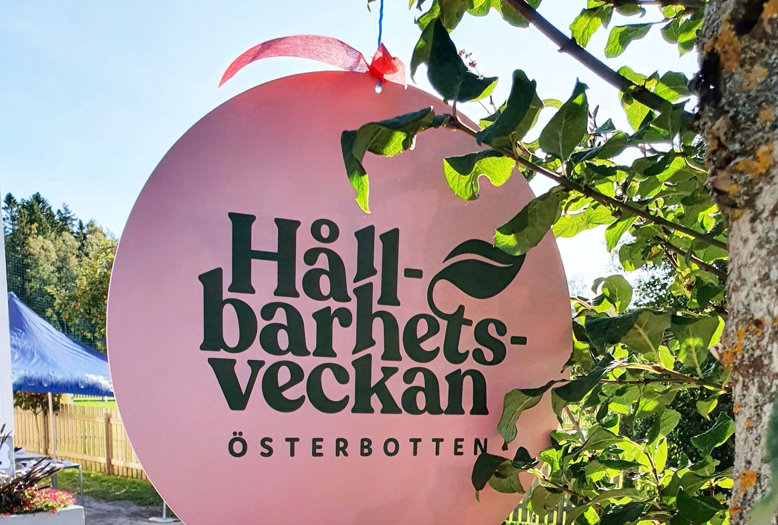 Fullspäckat program under Hållbarhetsveckan i Österbotten featured image