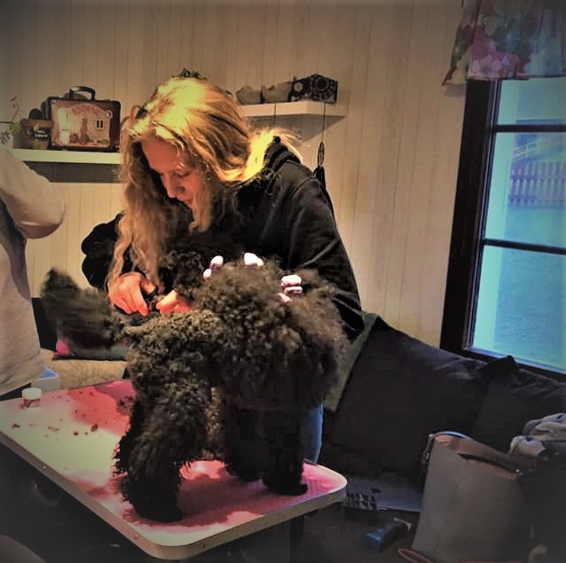 Att vara dogsitter – Fanny berättar featured image