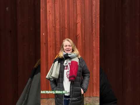 Vad är 4H för dej? featured image