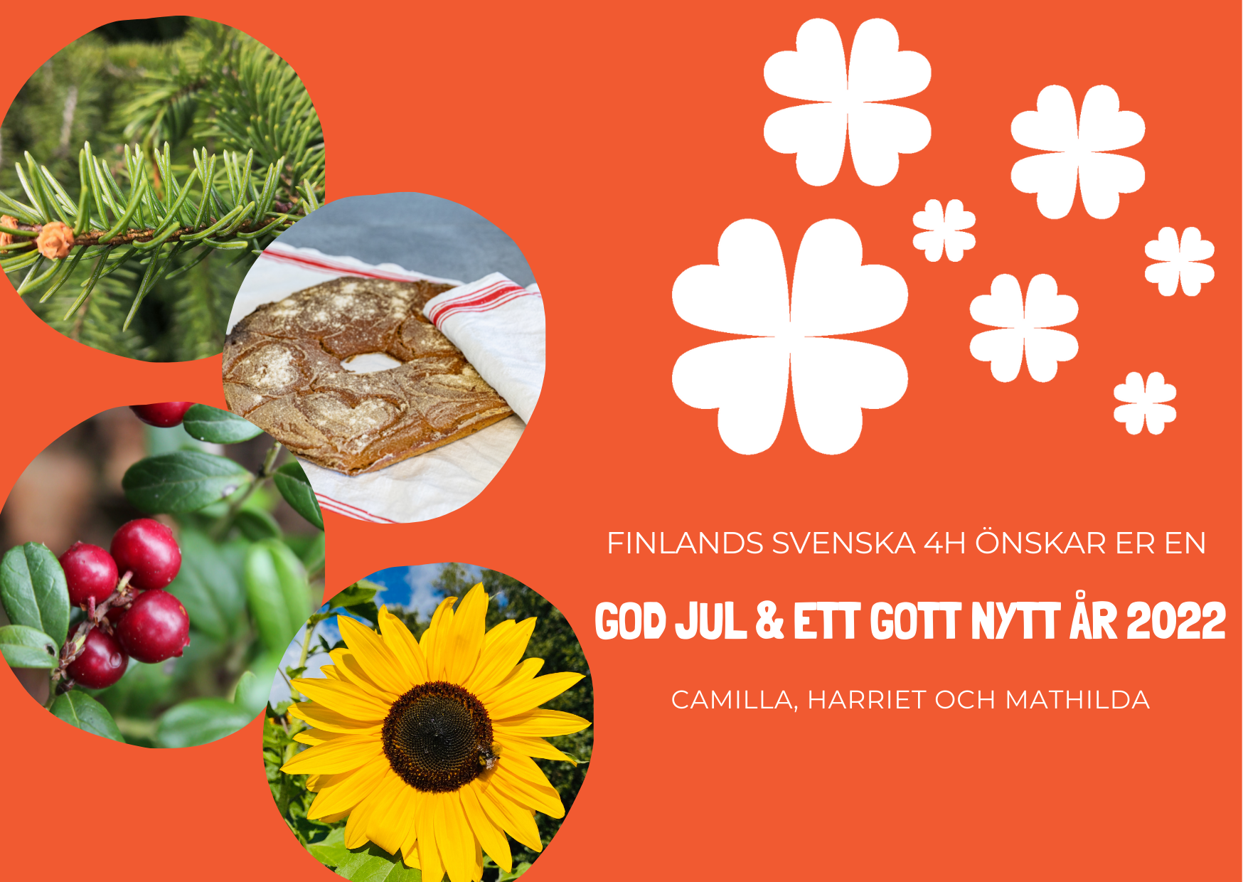 God Jul och Gott Nytt År! featured image