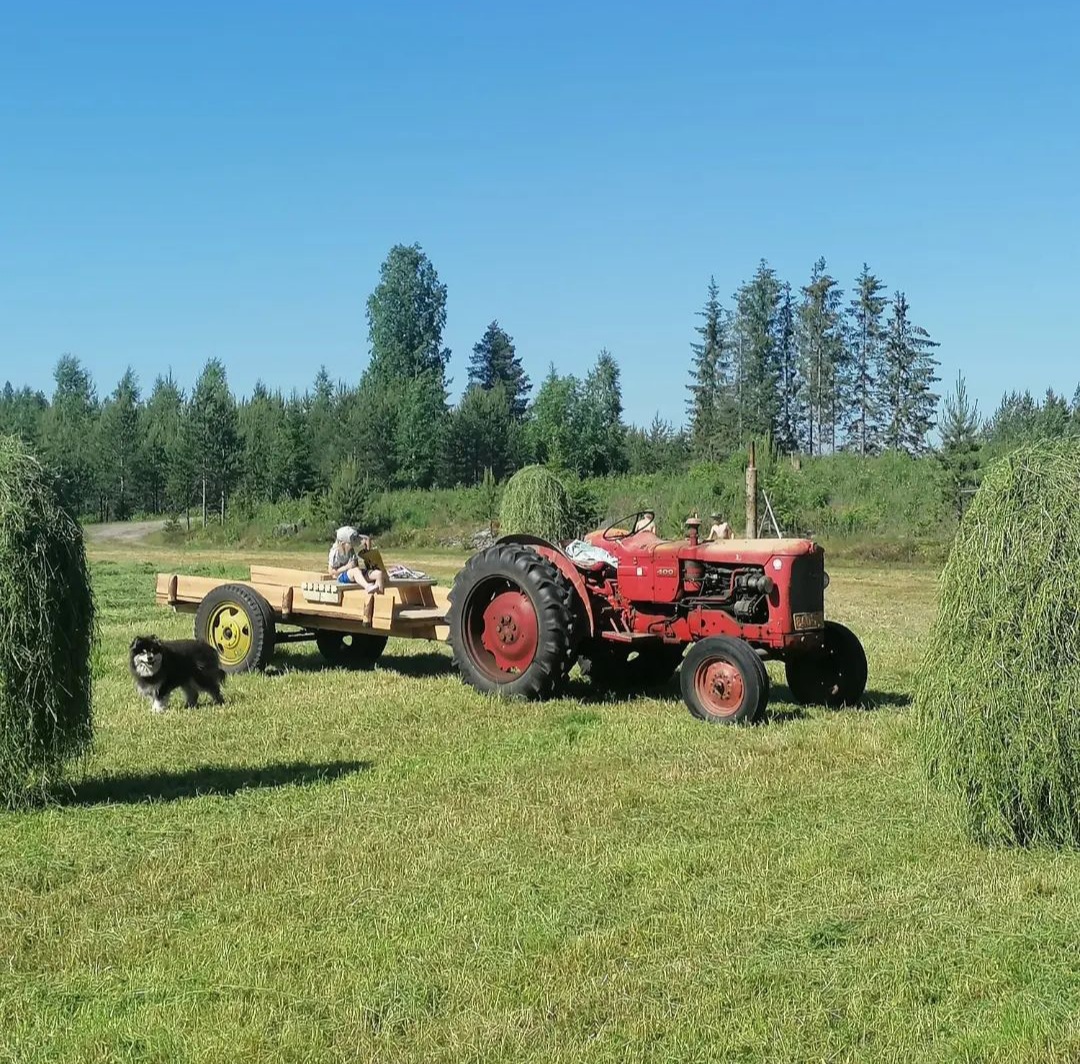 Sommarens hembesök featured image
