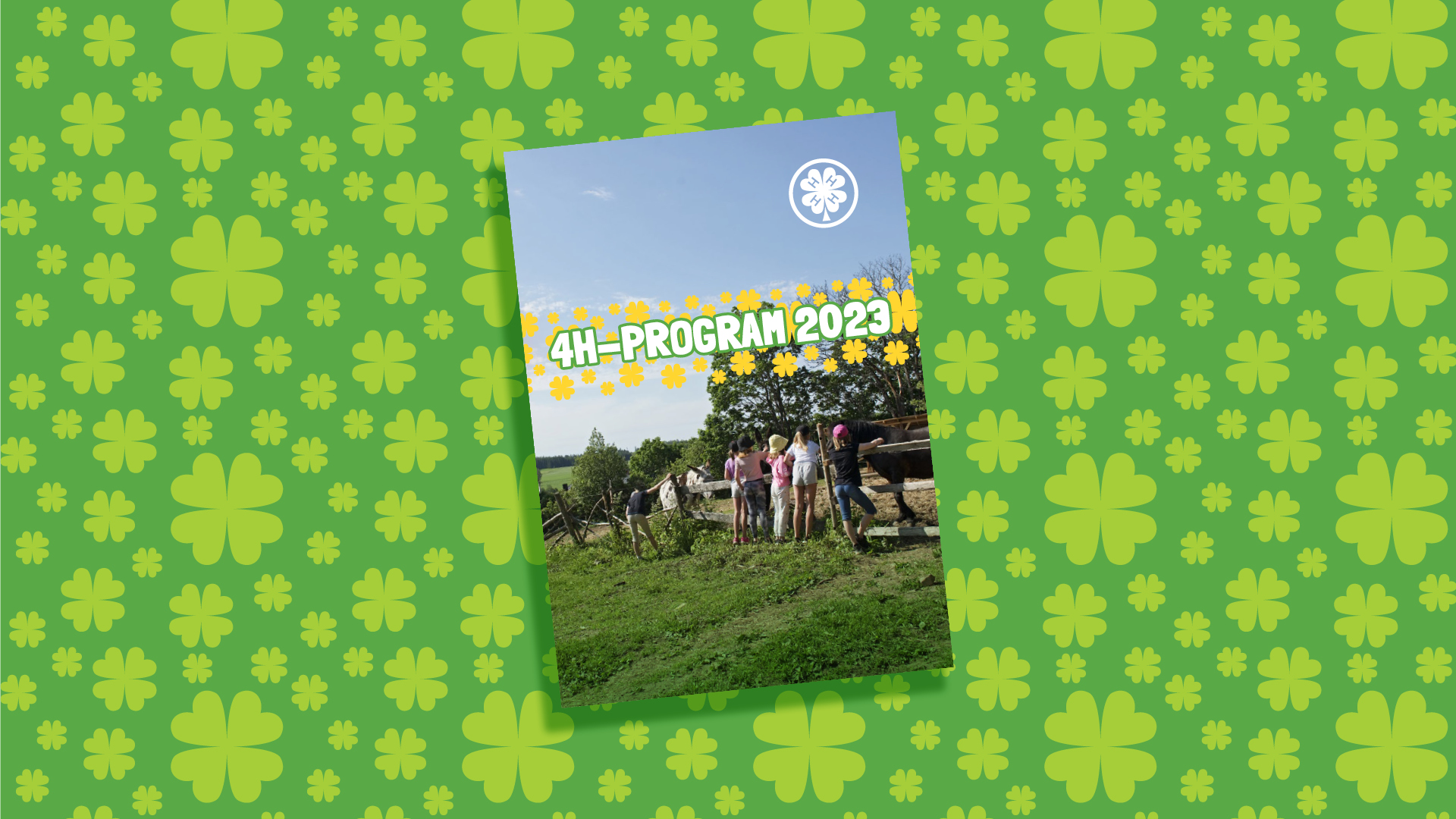 Gemensamma 4H sommaraktiviteter i södra Finland featured image