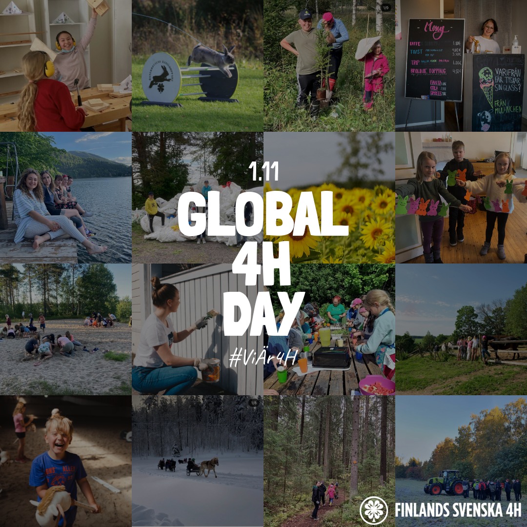 Internationella 4H-dagen featured image