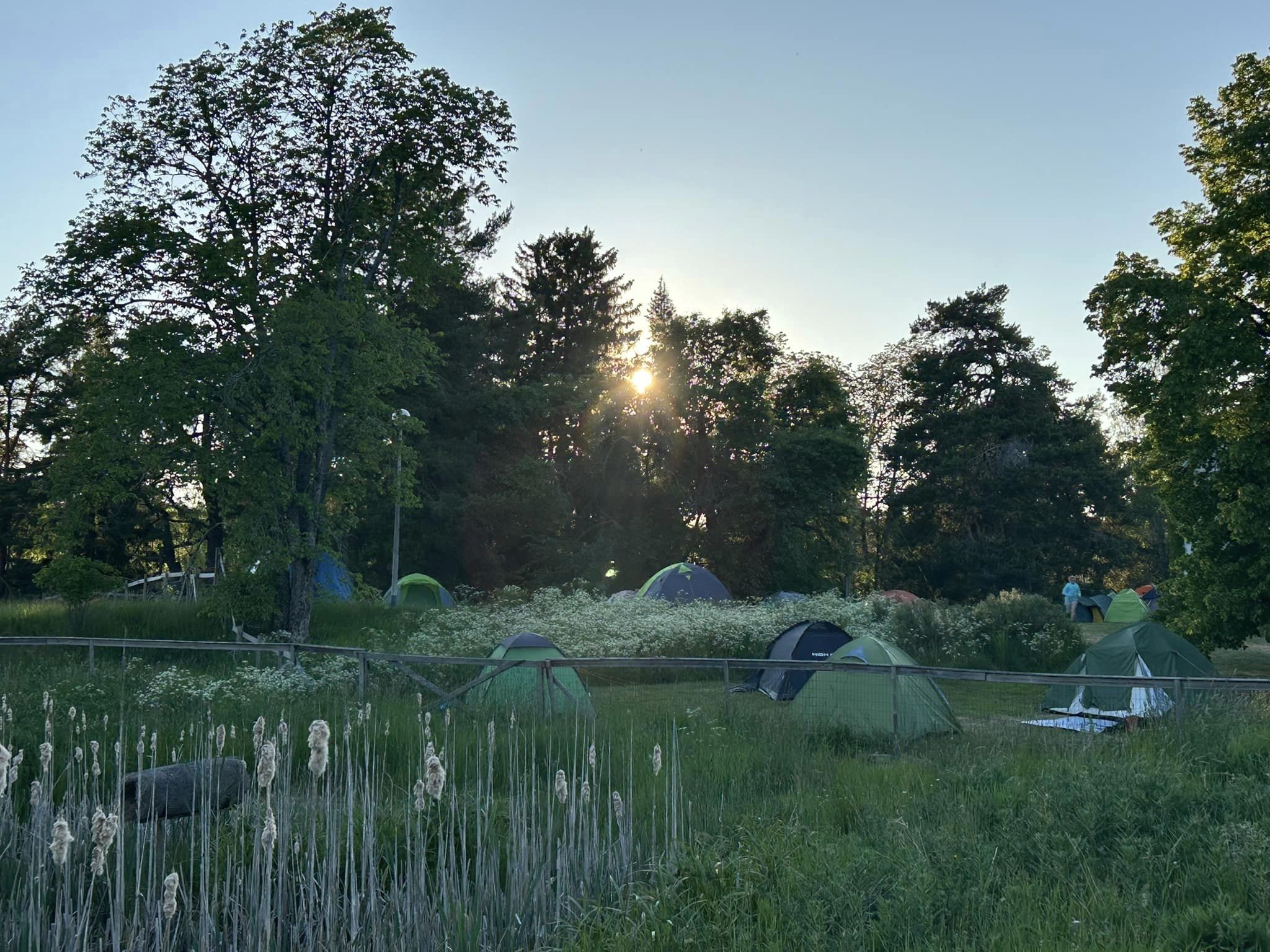 Sov utomhus under Finska naturens dag featured image