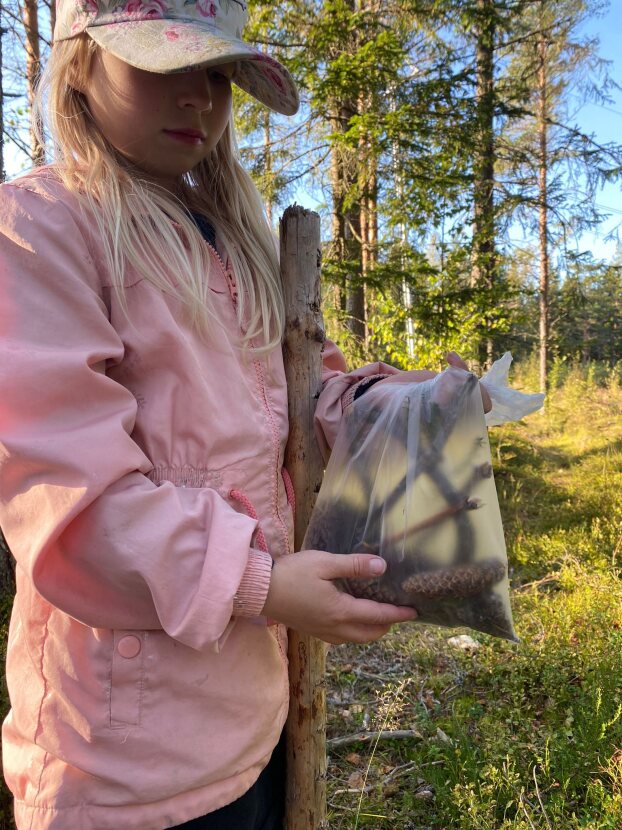 Höstens verksamhet i 4H-föreningarna startar featured image